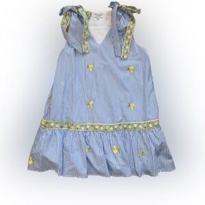 Lemon Embroidered Blue Striped Mini Dress